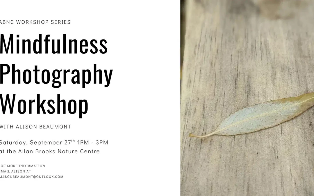 Mindful Photography with Alison Beaumont